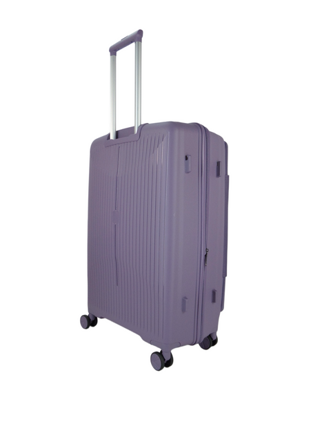 Purple | Glide Expandable Check In