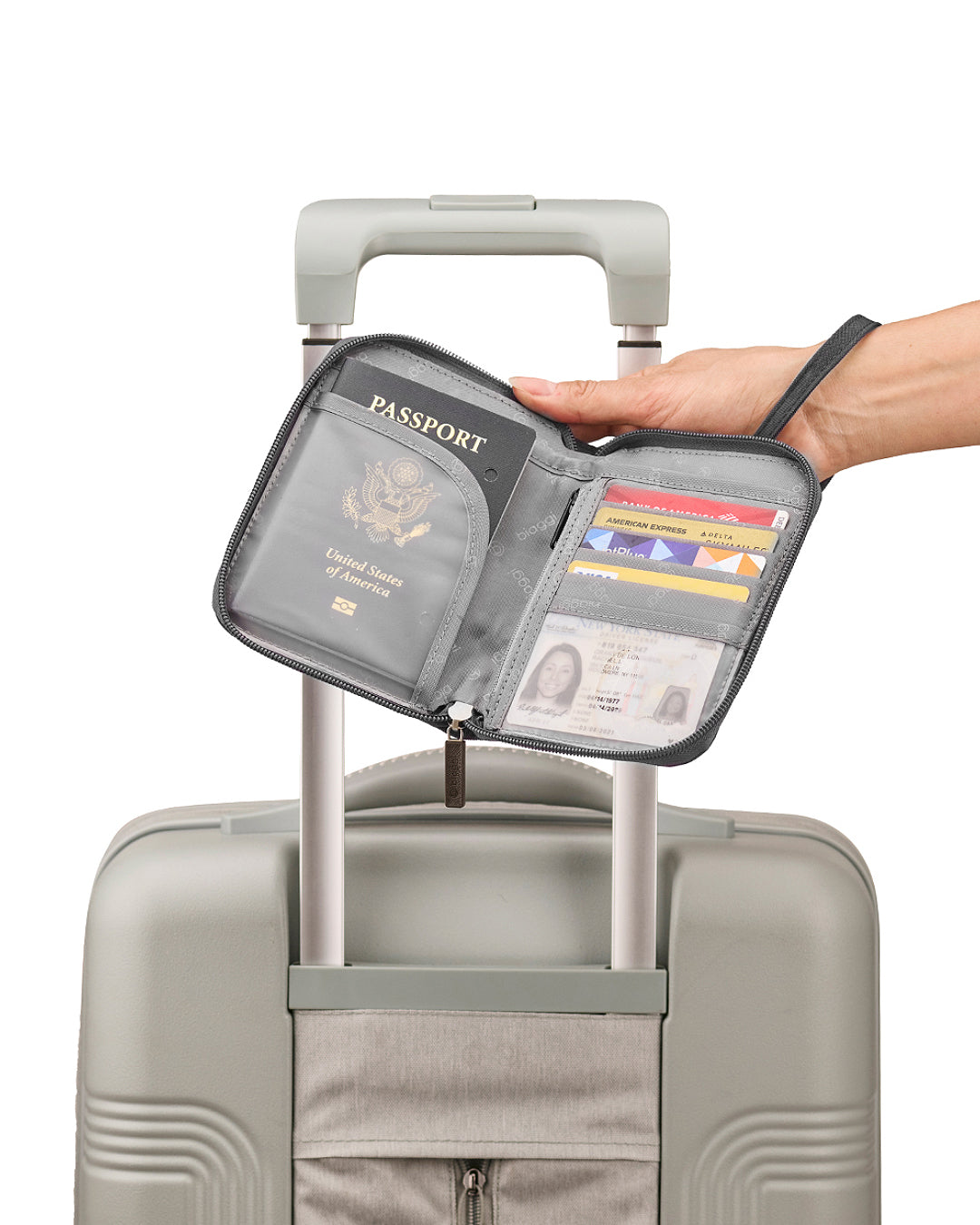 Convertible Pouch + ZipSafe Travel Organizer – Biaggi