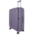 Purple | Glide Expandable Check In 