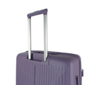 Purple | Glide Expandable Check In 