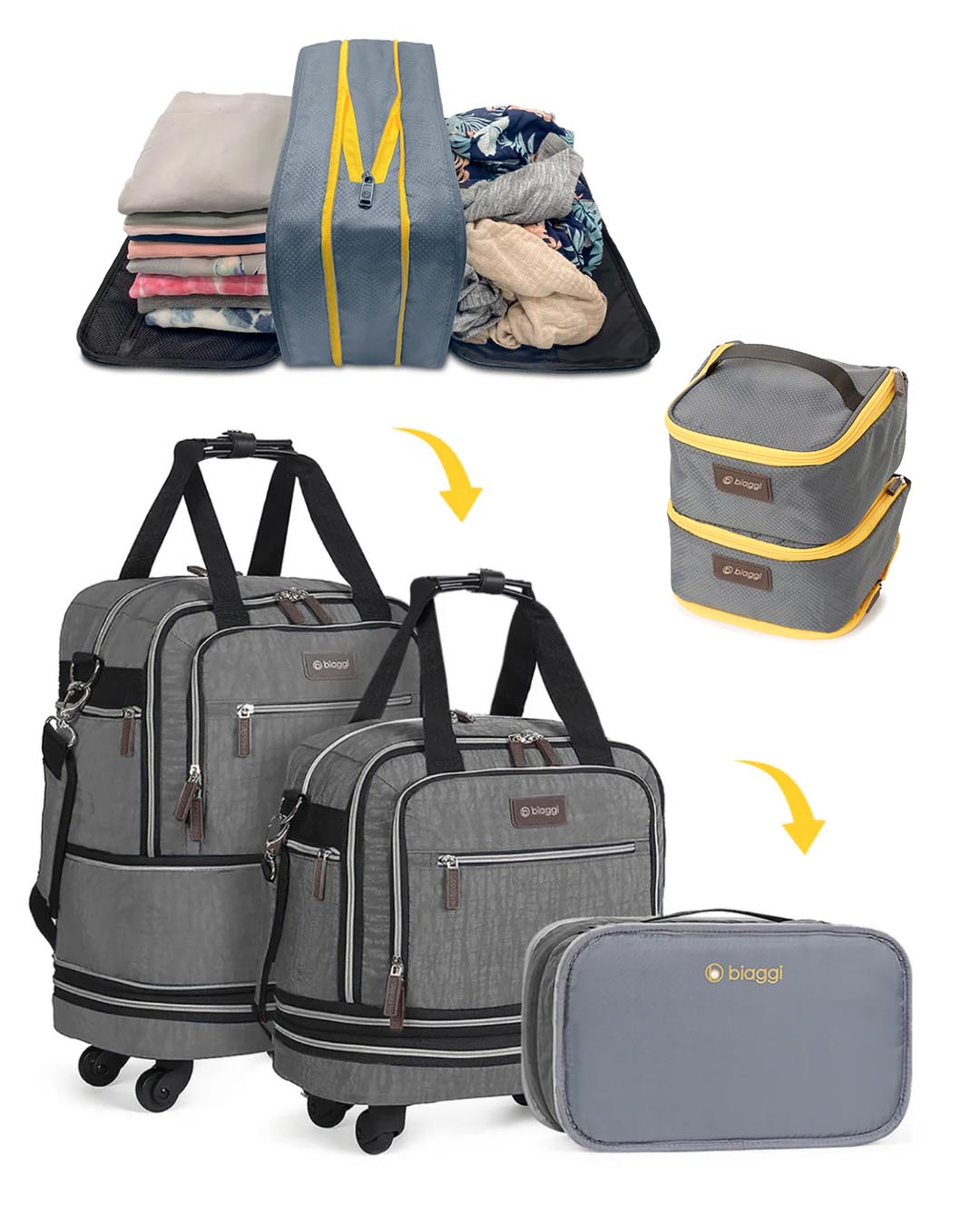 Biaggi luggage in stores online