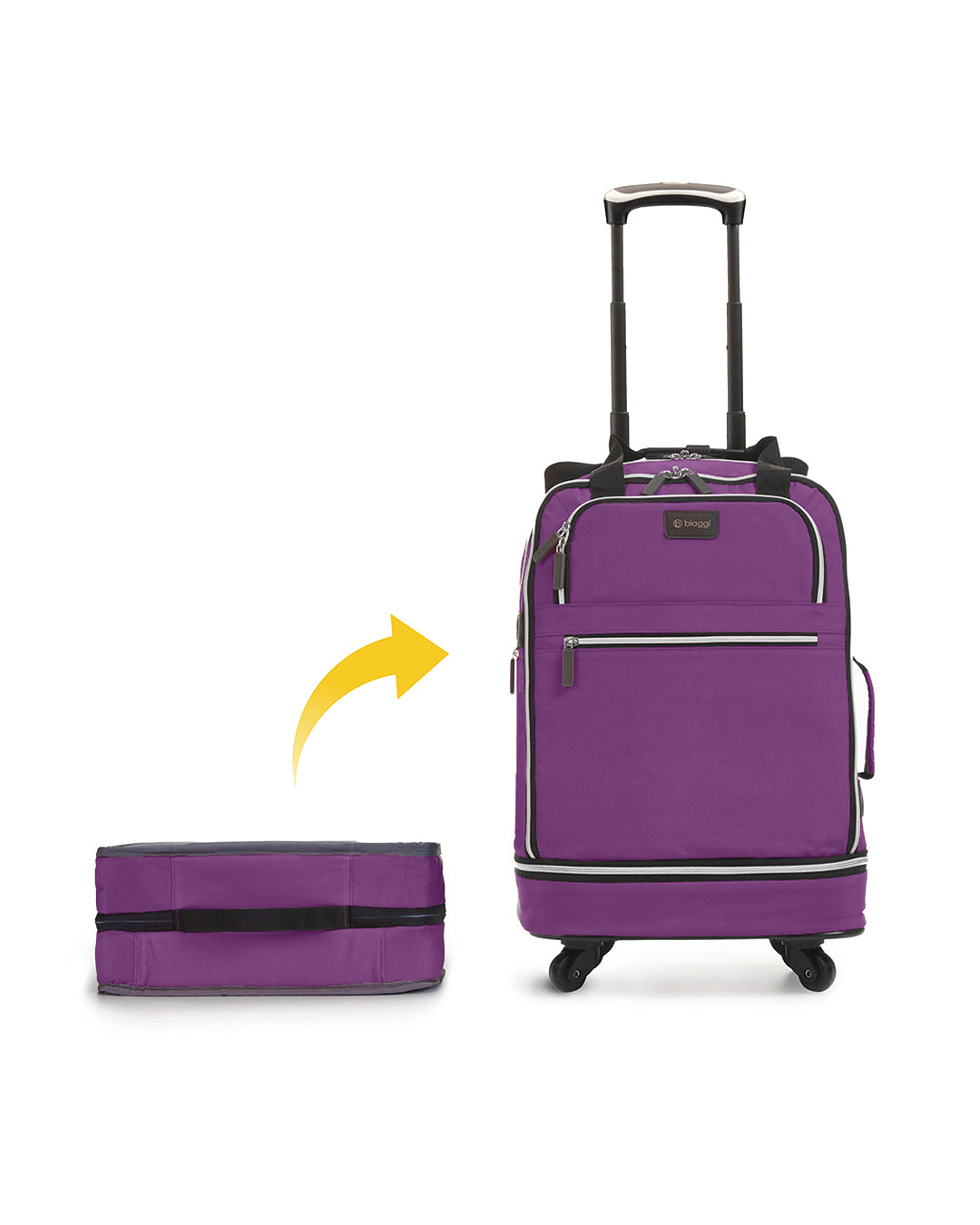 Biaggi luggage zipsak online